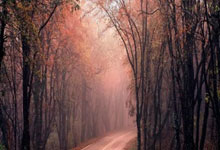 pg试玩官网：联手梅西！法国巨星接两年合同，迈阿密新阵容浮现，冲击世俱杯.