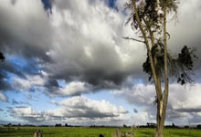 pg试玩官网：张玉宁回防的时候似乎踩了对手一脚，但是裁判没有判罚.