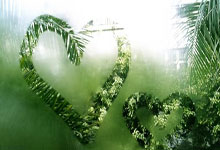 DeepSeek写的？成都官宣文案中漏写廖力生母队东莞同舟南城.